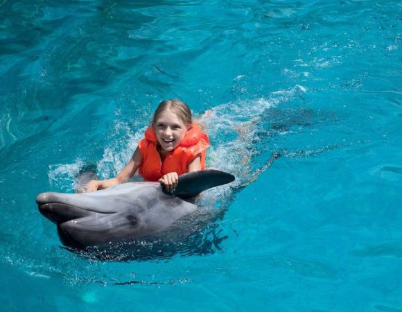 Swimming with Dolphins in Dubai