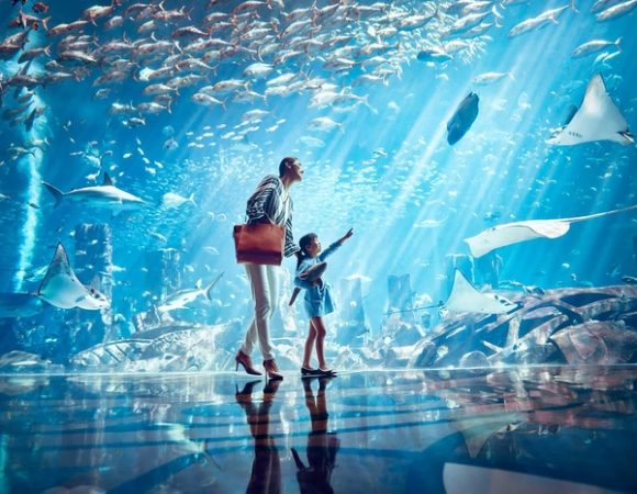 Lost Chambers Aquarium Dubai Tickets